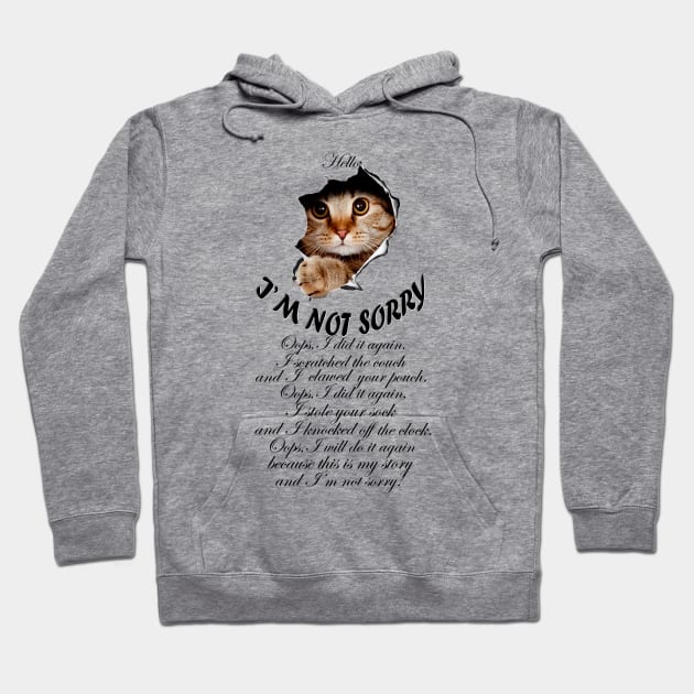 I'M NOT SORRY - Naughty cat design Hoodie by DesignersMerch